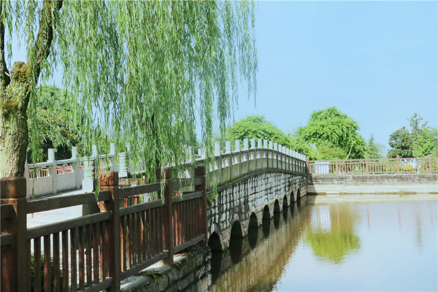 陵园风景