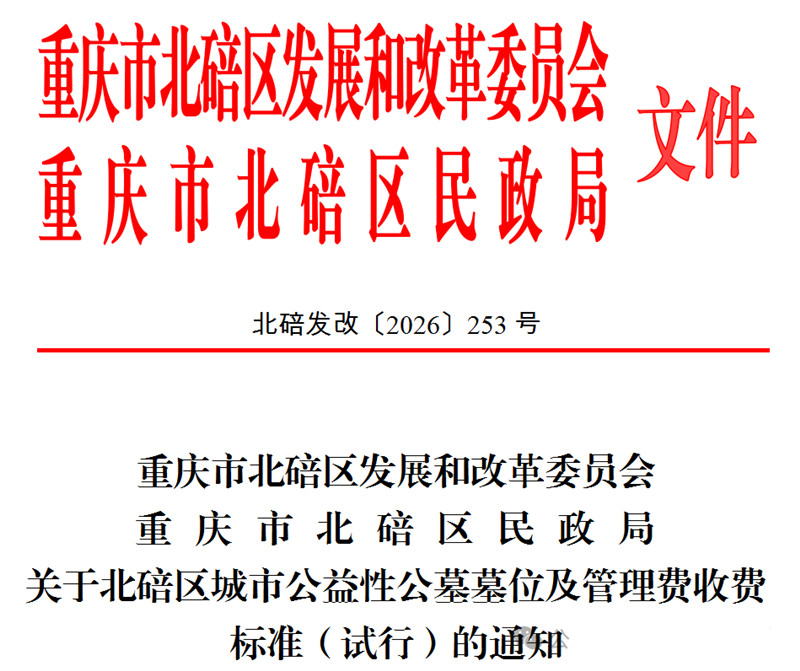 文件 文件