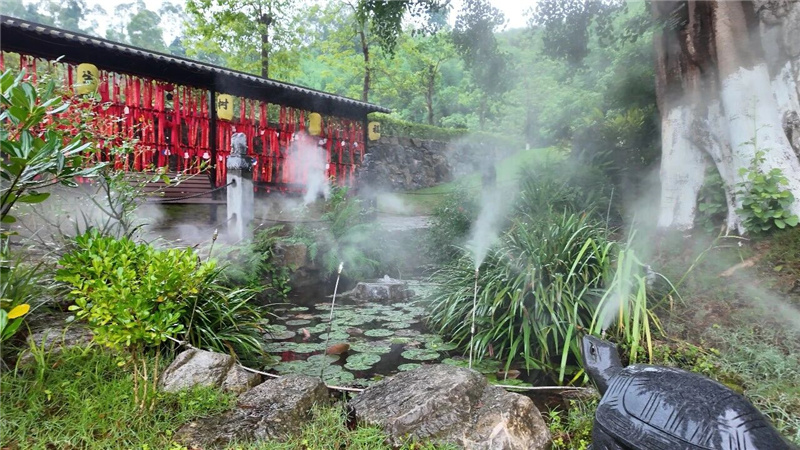 陵园树 陵园树