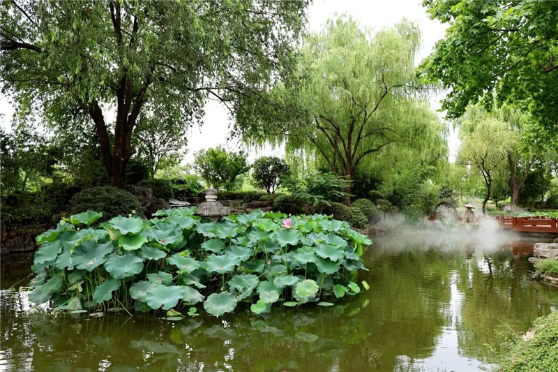 问竹园水景