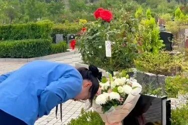 代客祭扫 代客祭扫
