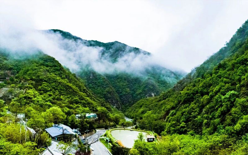 陵园环境