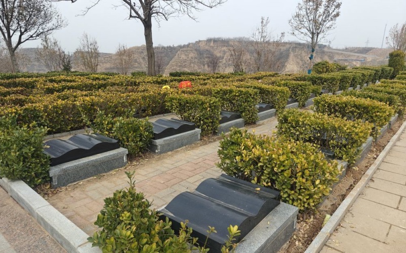 榴香园 榴香园