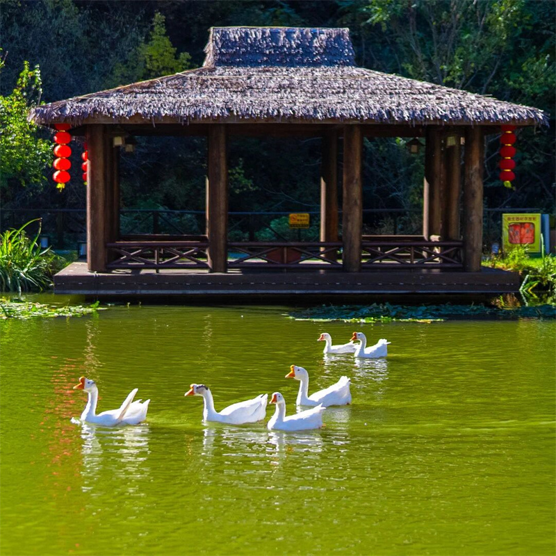 湖面