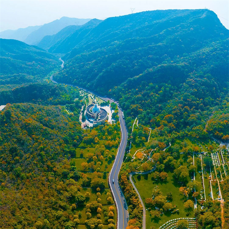 园风景