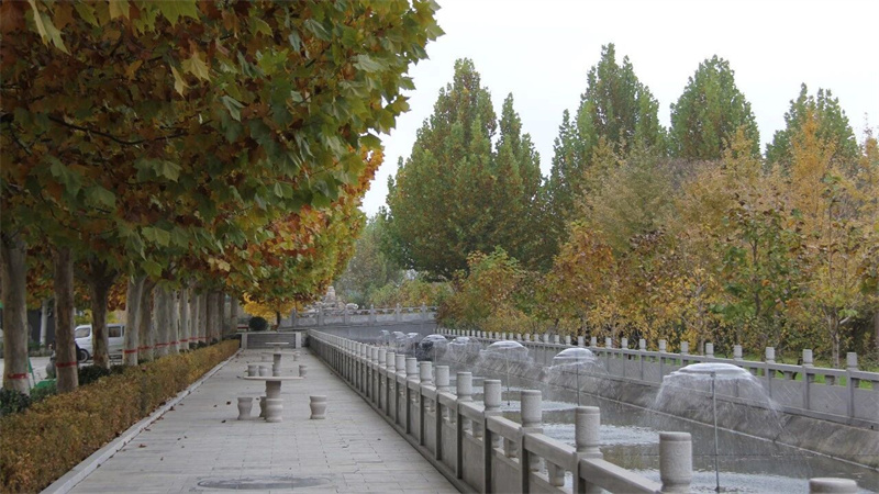 水系 水系