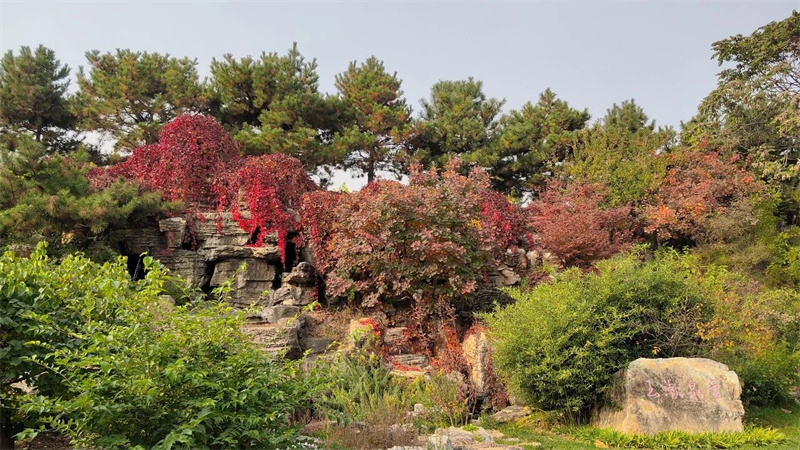 风景 风景