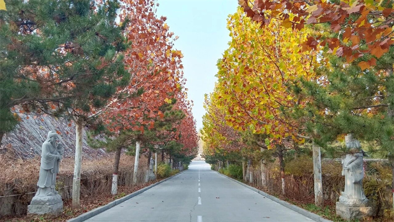 大道 大道