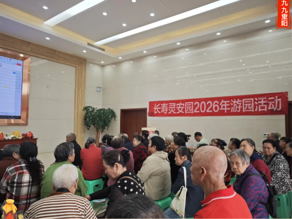 重阳活动 重阳活动