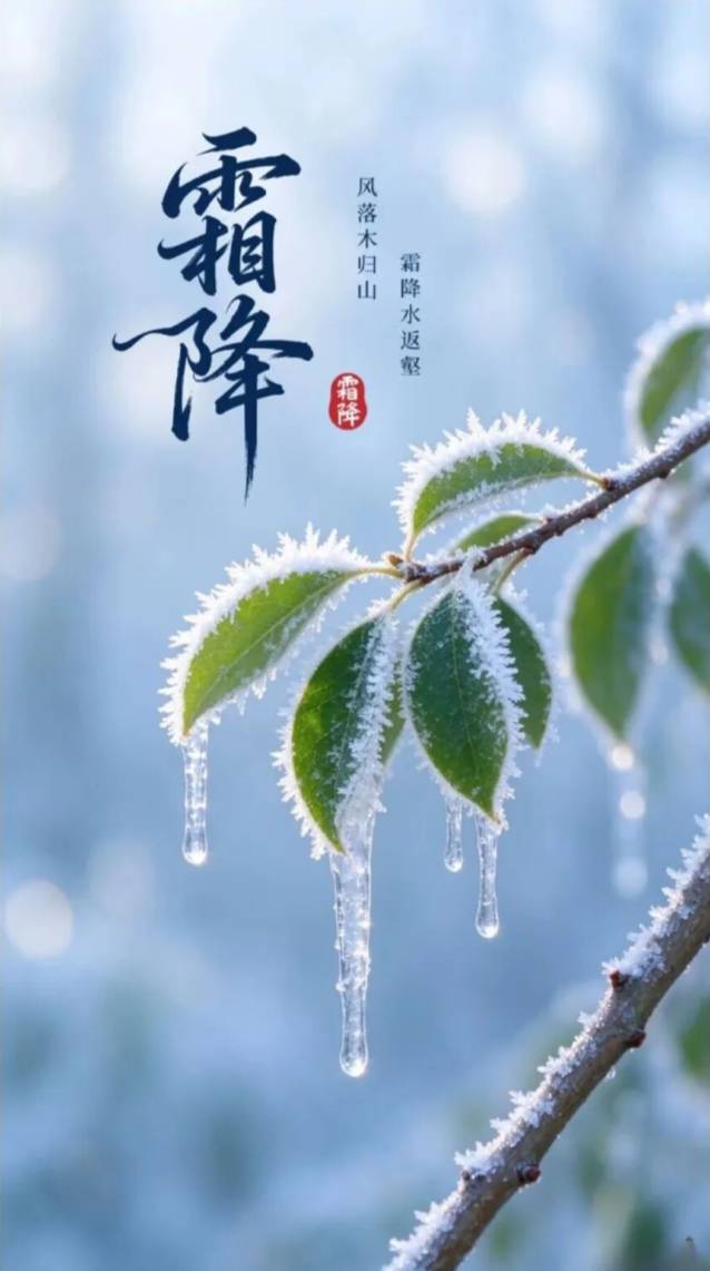 霜降 霜降