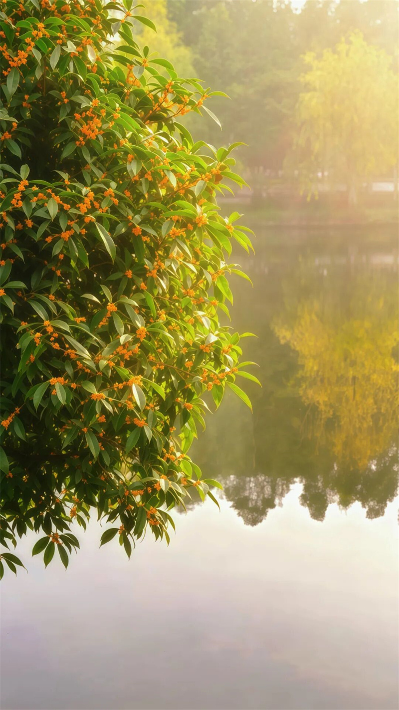 园区景观 园区景观