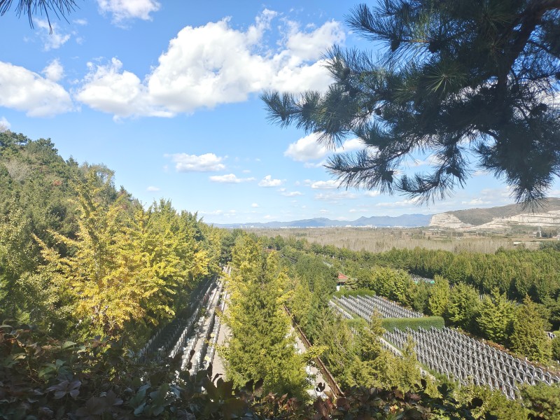 陵园墓区环境 陵园墓区环境