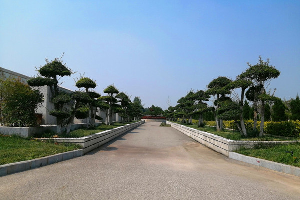 沣都苑生命纪念园景观图