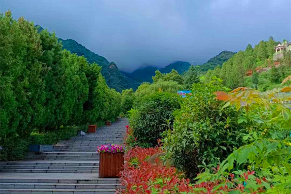 九龙山公墓景观图