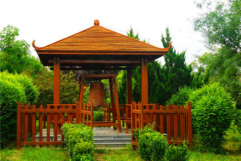 阎良区汉皇树葬墓园：松柏为伴,生态树葬受青睐