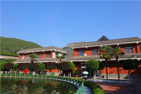 在西安霸陵墓园为叔父李华选择树葬的温暖历程