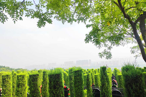 西安霸陵墓园新区树葬服务介绍（附实景图片及价格详情）