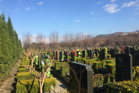 西安市临潼区骊山骨灰墓园生态壁葬、节地葬及墓碑价格多少