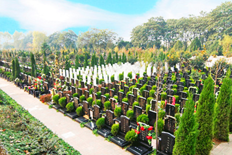 西安雁塔区有哪些知名的墓地？墓地周边环境怎么样