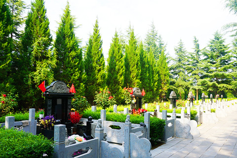 西安唐邵陵、咸阳福寿园、汉皇树葬园,寒衣节购墓有优惠吗？一站式看墓全攻略