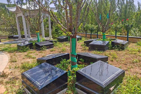 白鹿原公墓启用新名称“白鹿原福地”,推动品牌服务升级