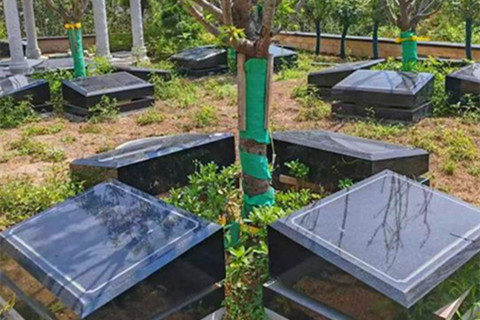 陕西省白鹿原公墓有树葬吗多少钱？位置在哪