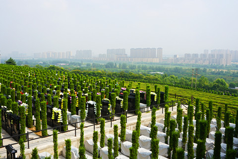  西安灞桥区墓地价格在1万之内可选墓碑有小5款墓型