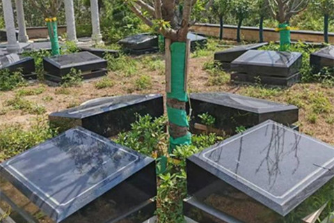 2026年西安白鹿原公墓各葬式价格表最新