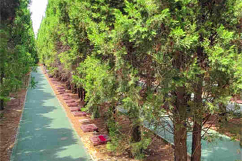 西安汉皇树葬墓园选个树葬墓碑价格9900元