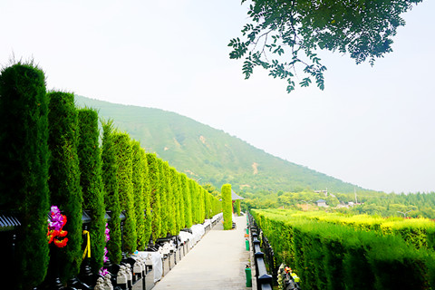 西安市灞桥区公墓有哪几处？西安灞桥墓园价格参考