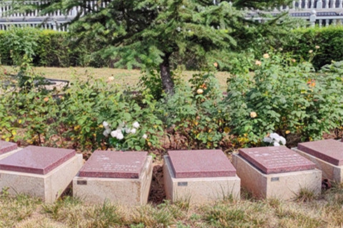 西安周边卧龙山福园公墓电话及墓型价格表最新参考