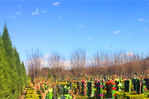 西安市民政局督导检查临潼区骊山墓园清明节文明祭扫及安全保障工作