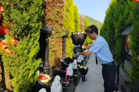 西安汉陵墓园人共菊花,执手登高