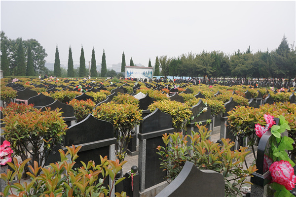 青龙岗纪念园景观图