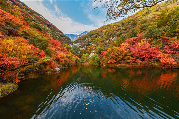 莲花山人文纪念园景观图
