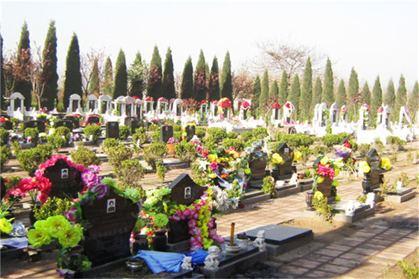 龙居山陵园景观图