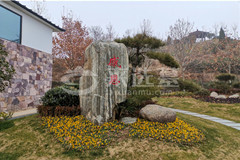 在黄河北邙陵园为姨姥姥选墓地