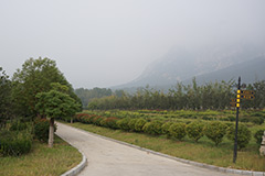 登封莲花山人文纪念园详细地址在哪？莲花山墓地价格大概多少钱？