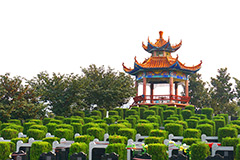 云鹤生态陵园咨询电话号码多少？云鹤生态陵园墓地价格贵吗？