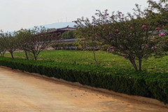 河南中牟墓地介绍-黄龙岗陵园简介、价格、地址、合法