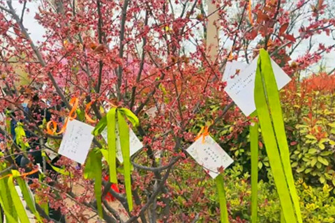 郑州烈士陵园清明祭英烈倡议书