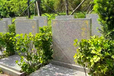 河南登封莲花山人文纪念园2025年8月墓地最新价格表