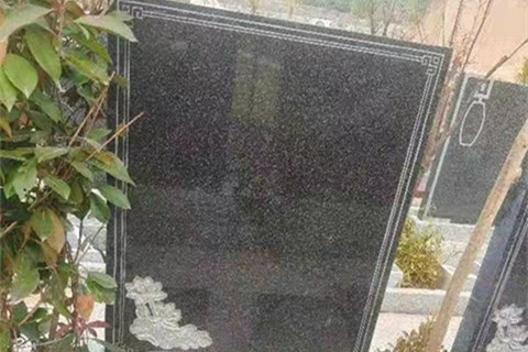 黄河纪念公园洪福园:荷花立碑,亲民价2万起