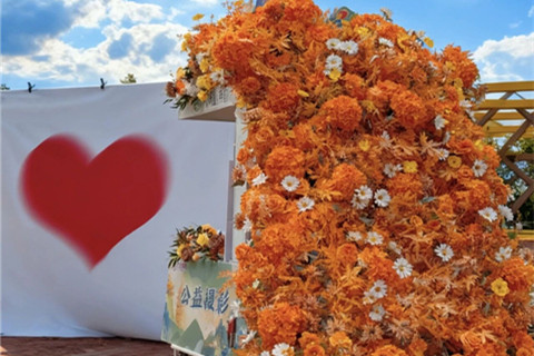 重阳节为爸妈补一张最美的照片!凤凰花车洛阳全城免费拍!