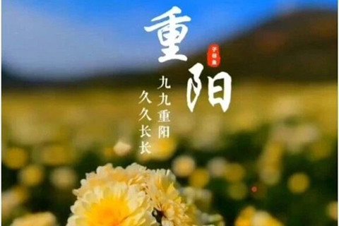 重阳郑州市御泉森林陵园缅怀先人,寄托思念,也为家中的长辈祈福安康