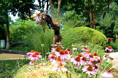 河南福寿园公墓有一万左右墓地吗？什么样墓碑