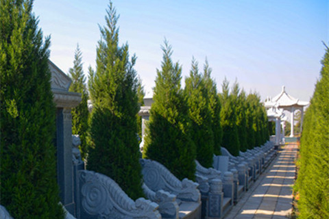 新密皇帝岭陵园推出限时特惠墓型,售价仅9900元！