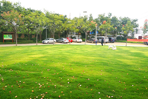 荥阳市墓地有几处？荥阳高村附近的陵园有哪些？墓位价格多少钱