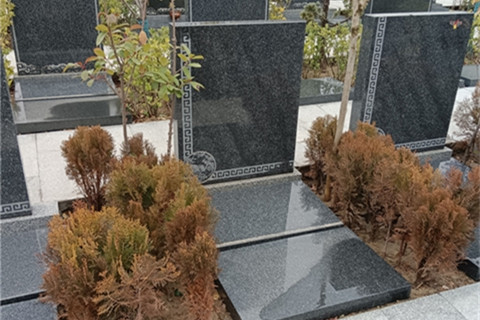 郑州二七区御泉森林陵园有多人墓碑吗？什么价位？