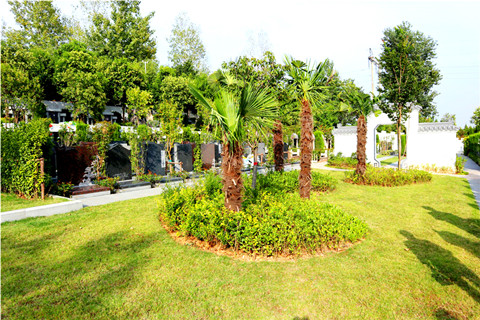 郑州市惠济区净土生态园2026年墓地墓型价格表最新